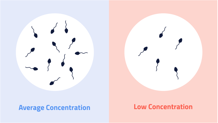 concentration 2